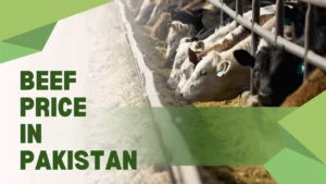 Beef Price in Pakistan