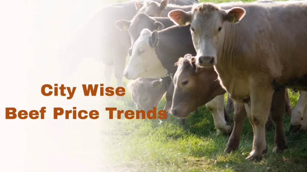 Beef Price in Pakistan and City Wise Beef Price Trends